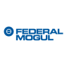 Federal Mogul - Square